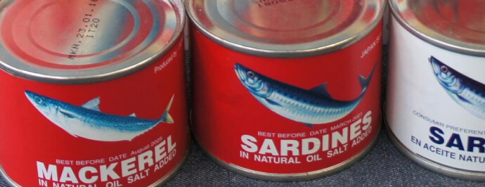 現地調査報告書